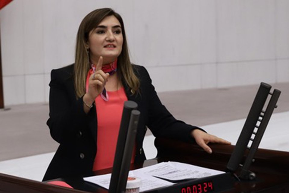 CHP İzmir Milletvekili ve TBMM İnsan Haklarını İnceleme Komisyonu Üyesi