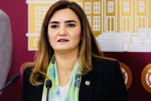 CHP İzmir Milletvekili ve TBMM İnsan Haklarını İnceleme Komisyonu Üyesi