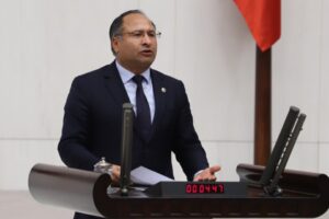 Cumhuriyet Halk Partisi (CHP) İzmir Milletvekili Özcan Purçu, Roman vatandaşların