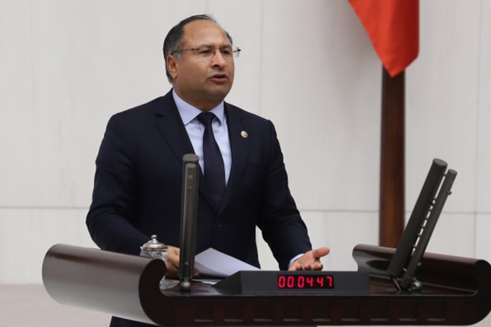 Cumhuriyet Halk Partisi (CHP) İzmir Milletvekili Özcan Purçu, Roman vatandaşların