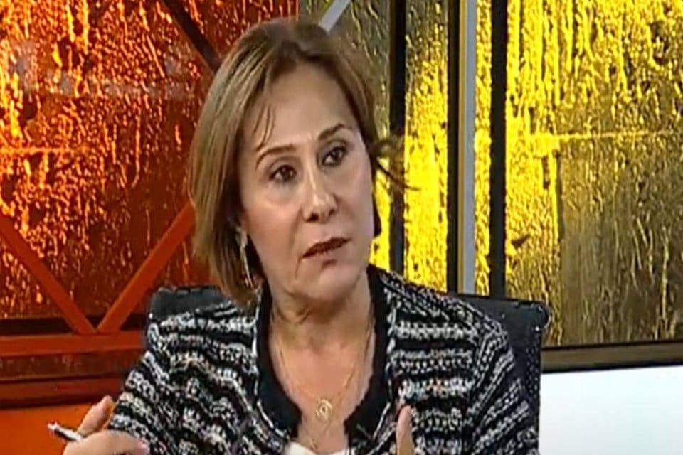 CHP eski milletvekili Sena Kaleli, iktidara geldiklerinde sosyal medyaya y&ouml;nelik
