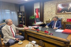Cumhuriyet Halk Partisi (CHP) İzmir Milletvekili Atila Sertel, Ceza ve