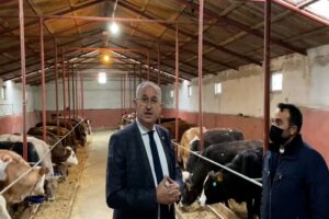 T&uuml;rkiye'nin &ouml;nemli hayvancılık merkezlerinden birisi olan Kars, 80 ilin b&uuml;y&uuml;k