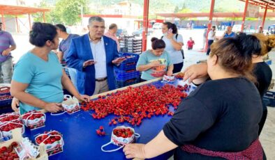 CHP'li Sındır: 'Tarımda plansızlığın bedelini üretici ve tüketici ödüyor!'