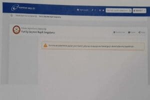 Se&ccedil;imlere sayılı g&uuml;nler kala e-Devlet &uuml;zerinden se&ccedil;men kayıtlarını sorgulamak isteyen