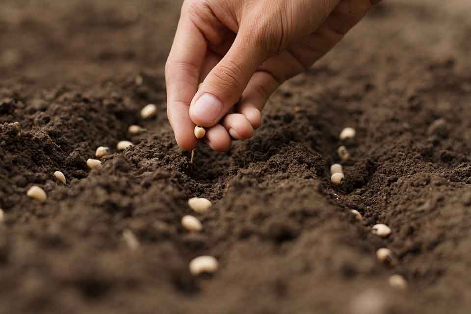 Türk çiftçisi, yıllık 118 milyon ton bitkisel üretim yapıyor. 72