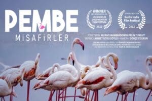 &Ccedil;iğli Belediyesi tarafından hazırlanan T&uuml;rkiye&rsquo;deki ilk flamingo belgeseli olan &ldquo;Pembe