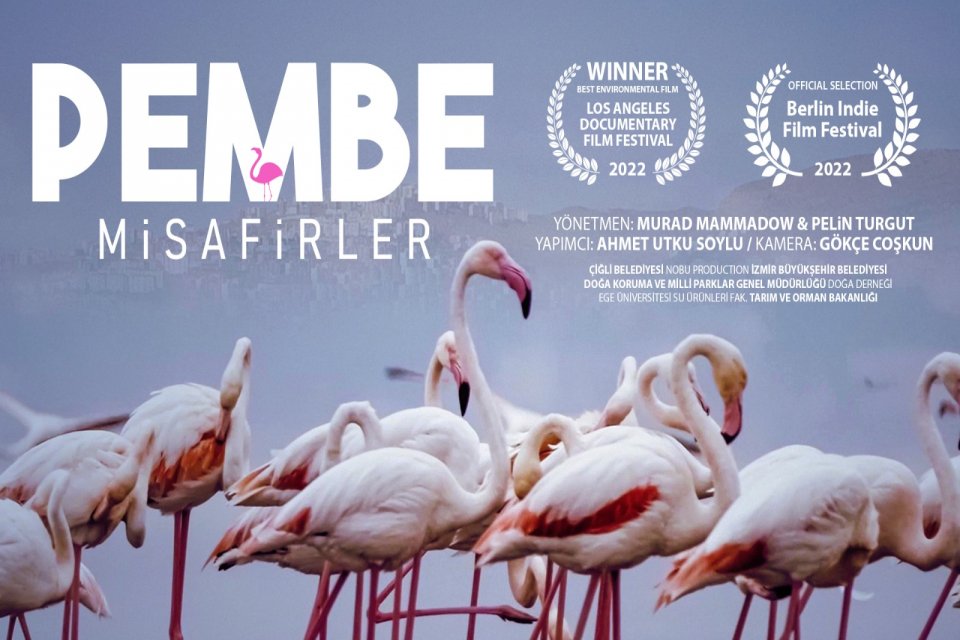 &Ccedil;iğli Belediyesi tarafından hazırlanan T&uuml;rkiye&rsquo;deki ilk flamingo belgeseli olan &ldquo;Pembe