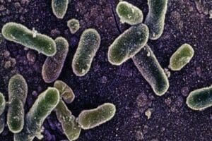 D&uuml;nyanın &ouml;nde gelen &ccedil;ikolata &uuml;reticilerinden Barry Callebaut'un Bel&ccedil;ika'daki fabrikasında salmonella
