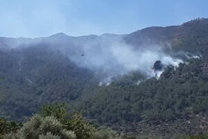 Muğla'nın Yatağan il&ccedil;esinde başlayarak komşu il Aydın'ın &Ccedil;ine il&ccedil;esine sı&ccedil;rayan