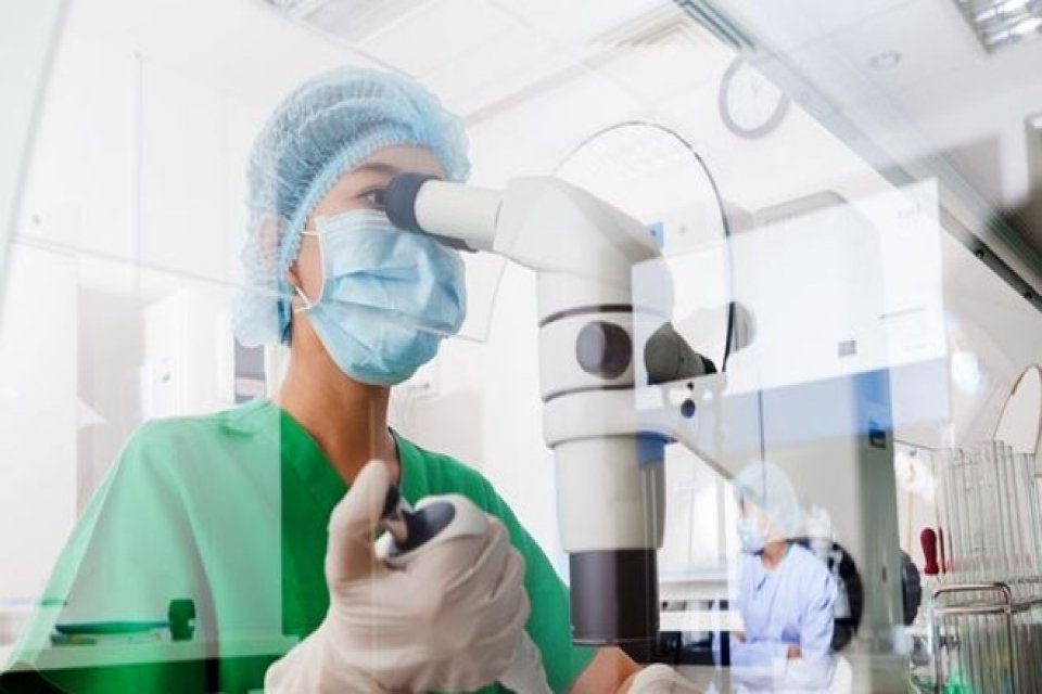 Yeni bir araştırmaya g&ouml;re d&uuml;nyada corona vir&uuml;s pandemisine neden olan