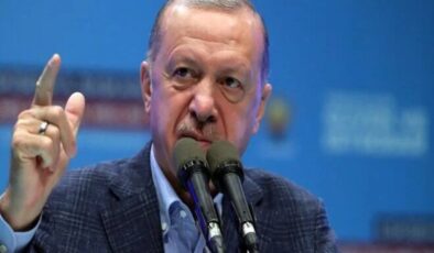 Cumhurbaşkanı Erdoğan'dan 10 büyükelçi için 'istenmeyen adam' talimatı