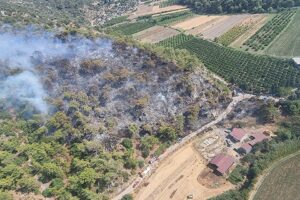 Muğla'nın Dalaman il&ccedil;esindeki ormanlık alanda, hen&uuml;z belirlenemeyen bir nedenle yangın