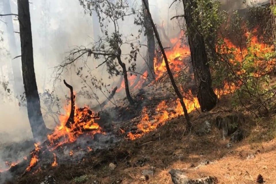 Antalya Akseki'de orman yangını &ccedil;ıktı.&nbsp;Yangına karadan 7 araz&ouml;z, orman ve