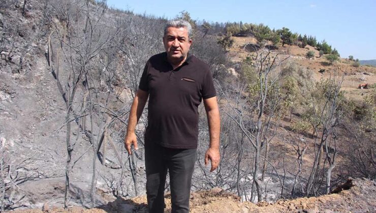 CHP'li Serter’den yangın tepkisi: 'TBMM acil toplanmalı'