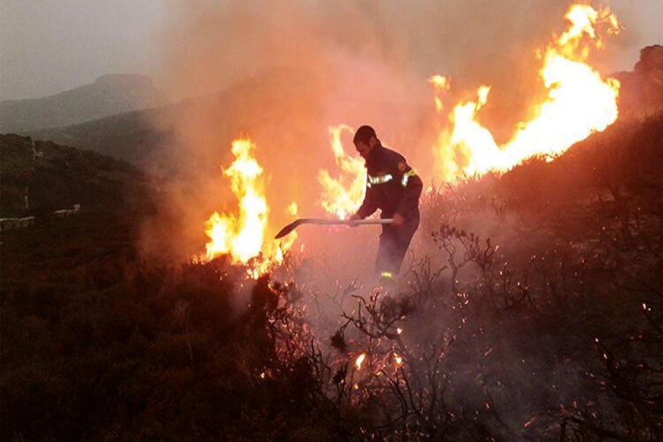 Limasol kentinde &ccedil;ıkan orman yangınında 4 Mısırlı tarım iş&ccedil;isi yaşamını