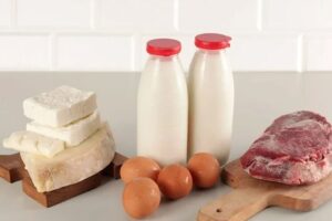 Birleşmiş Milletler Gıda ve Tarım &Ouml;rg&uuml;t&uuml; (FAO) tarafından yapılan bir