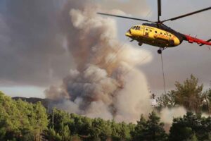 DENİZLİ'nin Kale il&ccedil;esinde d&uuml;n &ccedil;ıkan orman yangını, ekiplerin m&uuml;dahalesiyle bu