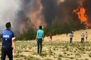 Elazığ, Adana, Bodrum, Manavgat, Marmaris, Milas, ve Isparta'da orman yangınları