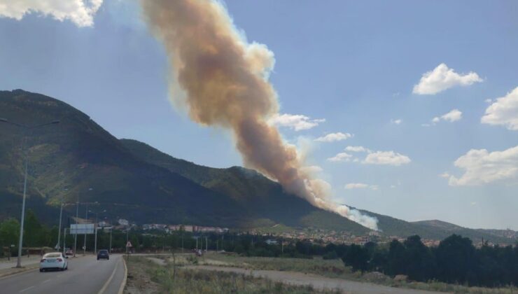 Denizli'de yerleşim yerleri yakınında orman yangını