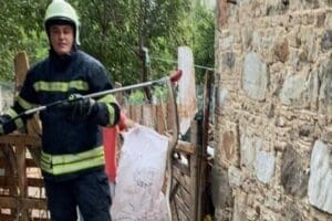 Muğla'nın Bodrum il&ccedil;esinde bir evin deposuna giren yılan, itfaiye ekipleri