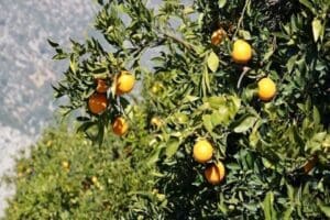 Depremin vurduğu 11 kent, turun&ccedil;gil &uuml;retiminin y&uuml;zde 60'ını karşılıyor. Deprem