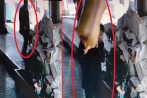 Ordu'nun Altınordu il&ccedil;esinde, depremzedeler i&ccedil;in toplanan yardım malzemeleri arasındaki 2