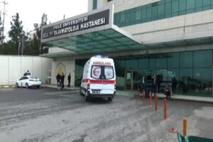 Diyarbakır'da 71 yaşındaki bir kişi, 46 yaşındaki 3 &ccedil;ocuk annesi