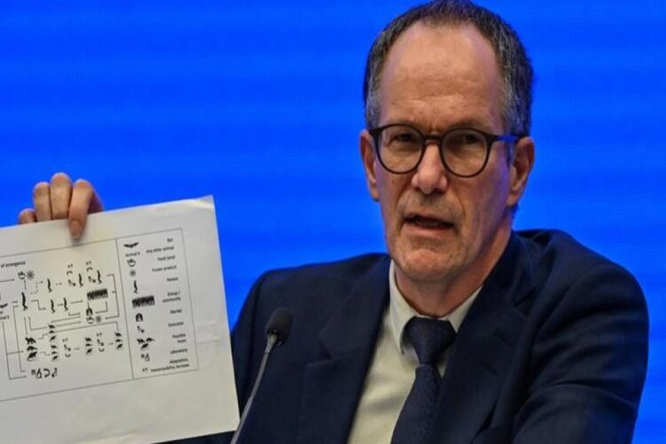 Koronavirüsün ilk kez görüldüğü Vuhan'a giden Dünya Sağlık Örgütü uzmanları