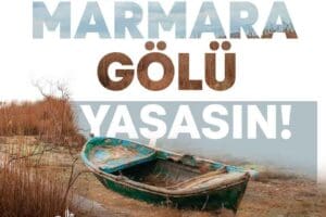 İzmir B&uuml;y&uuml;kşehir Belediyesi ve Ege Belediyeler Birliği Başkanı Tun&ccedil; Soyer