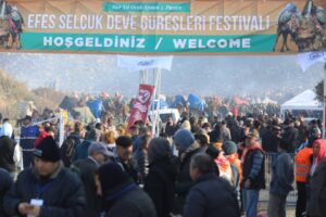 41. Uluslararası Efes Sel&ccedil;uk Deve G&uuml;reşleri Festivali Pamucak Arena&rsquo;da yapılan