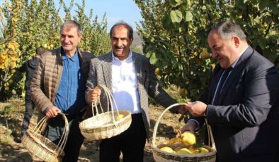 EİB'den ihracatta birinci olduğumuz 'ayva' için hasat töreni