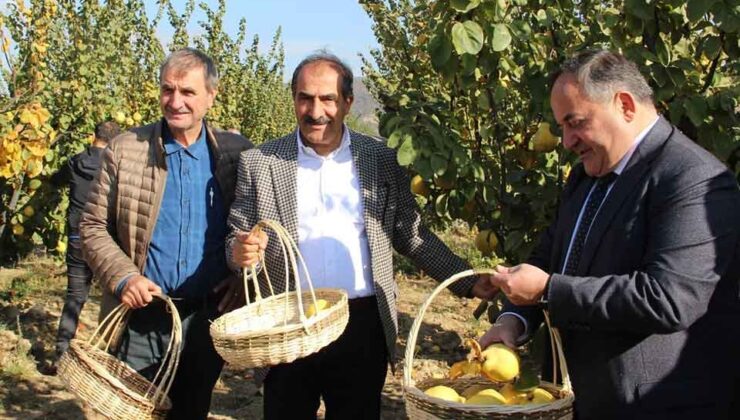 EİB'den ihracatta birinci olduğumuz 'ayva' için hasat töreni