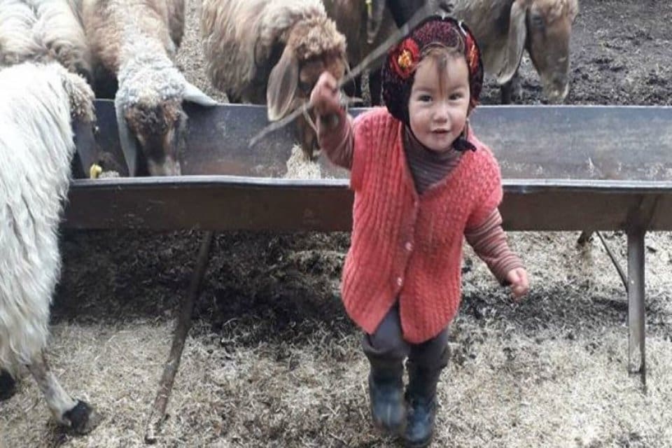 Mersin'de 10 g&uuml;n &ouml;nce ailesinin &ccedil;adır kurduğu sırada kaybolan 3