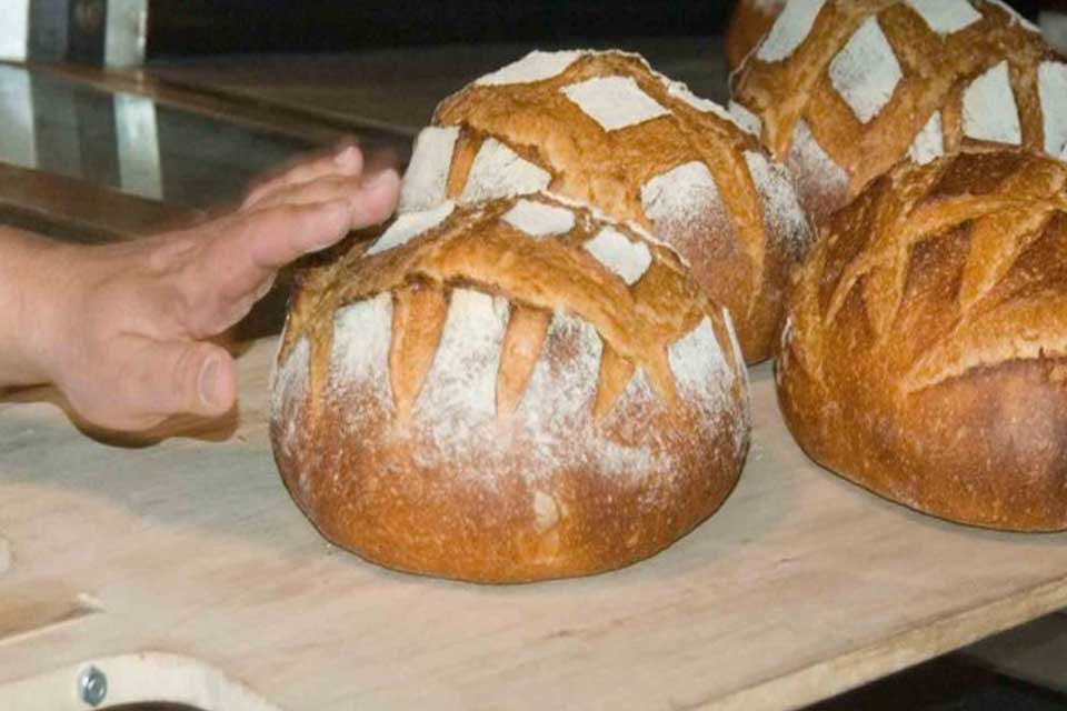 Ekonomik krizin etkileri t&uuml;m sekt&ouml;rlerde ağır tahribat yaratıyor. Başta gıda