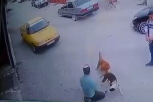 İzmir'in Seferihisar ilçesinde sokak köpeğiyle oynayan Emre Biter (27), sürücüsünün