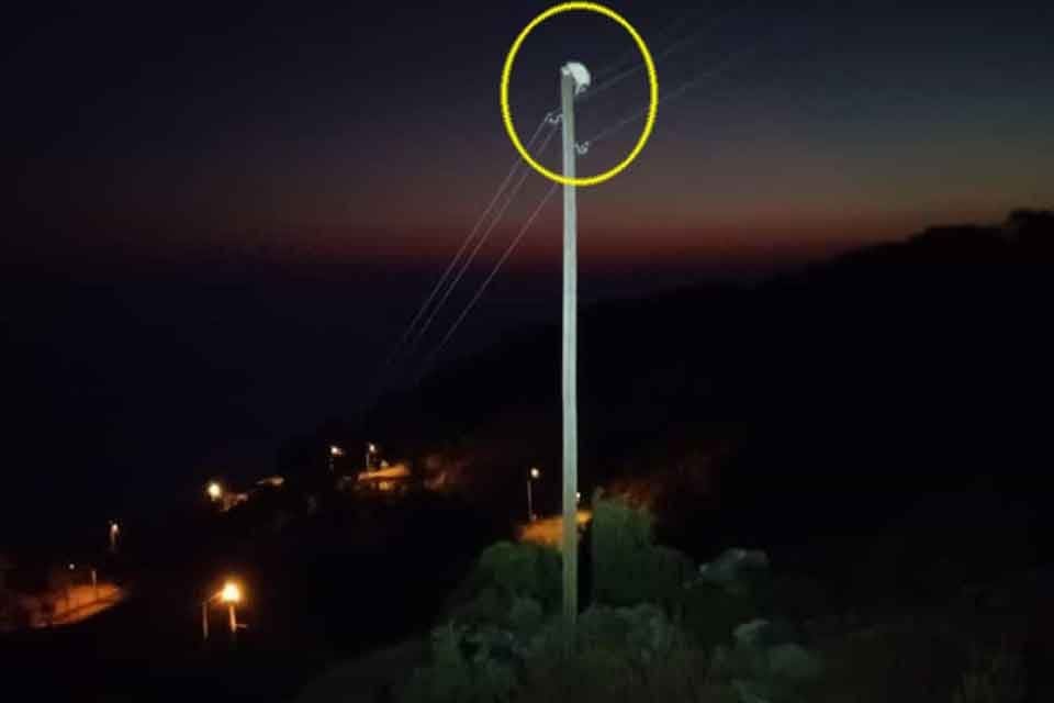 MUĞLA'nın Seydikemer il&ccedil;esinde 15 metrelik elektrik direğinin tepesinde mahsur kalan