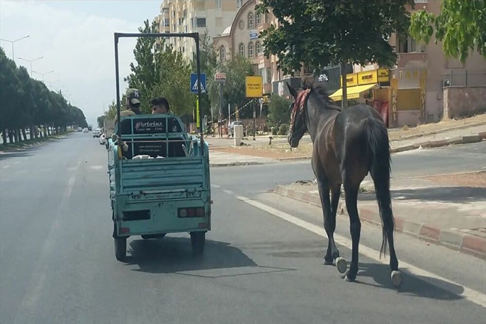 Kent&nbsp;merkezinde bir s&uuml;r&uuml;c&uuml;n&uuml;n&nbsp;elektrikli motosikletin&nbsp;arkasına bağladığı&nbsp;atla&nbsp;ilerlediğini g&ouml;ren vatandaşlar o anları cep