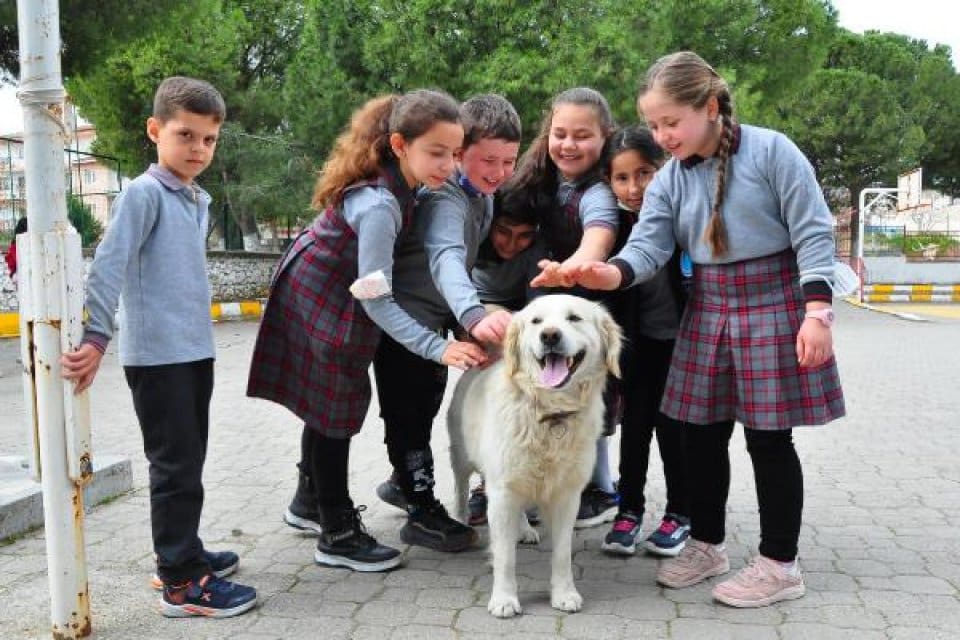 Manisa'daki Karaoğlanlı İlkokulu'nda g&ouml;revli &ouml;ğretmen Elmas Tef&ccedil;i'nin (24) sahiplenip, 'Badem'