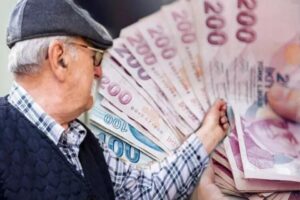 Kamu g&ouml;revlileri, emeklilik işlemlerine ilişkin başvuru, onay ve diğer bilgi