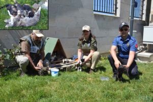 K&Uuml;TAHYA kent girişindeki polis uygulama noktasında bulunan kedi ile 4