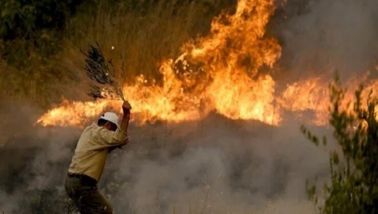 ‘En büyük orman yangını’na 7 yıl hapis