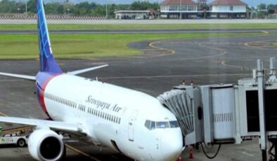 Endonezya'da yolcu uçağı düştü