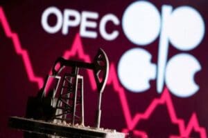 The Wall Street Journal gazetesi, OPEC+ grubu &uuml;yelerinin g&uuml;nl&uuml;k petrol
