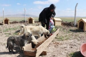 Aksaray'ın merkeze bağlı Babakonağı k&ouml;y&uuml;nde yaşayan 25 yaşındaki&nbsp;Ramazan Kaplan, 5