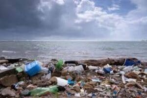 İsve&ccedil; merkezli araştırma şirketi Ecoloop&rsquo;un araştırmasına g&ouml;re, erkekler ve kadınlar