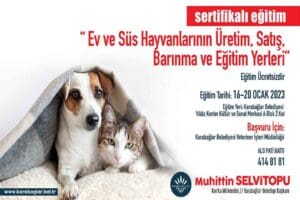 Karabağlar Belediyesi, Evcil hayvan satışı yapan işletme sahiplerine eğitim verecek.