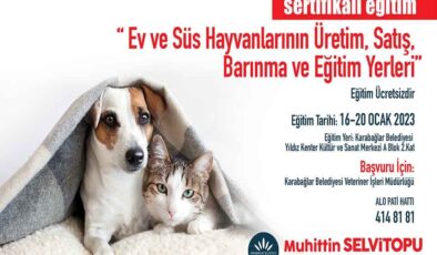 Evcil hayvan satıcılarına ücretsiz eğitim verilecek