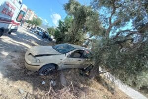 Aydın'ın &Ccedil;ine il&ccedil;esinde kontrolden &ccedil;ıkıp, zeytin ağacına &ccedil;arpan otomobilin s&uuml;r&uuml;c&uuml;s&uuml;