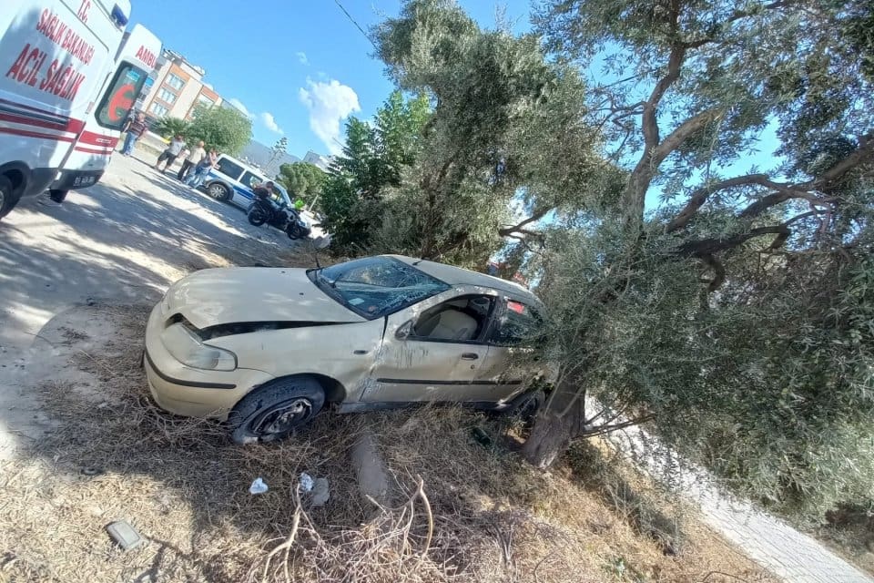 Aydın'ın &Ccedil;ine il&ccedil;esinde kontrolden &ccedil;ıkıp, zeytin ağacına &ccedil;arpan otomobilin s&uuml;r&uuml;c&uuml;s&uuml;